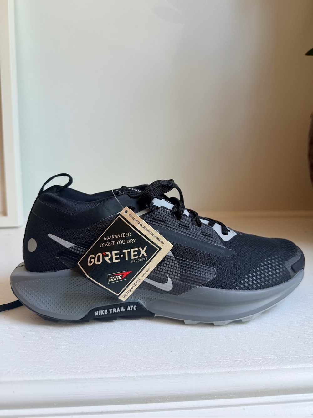 Nike women's Trail 5 Gore-Tex in Black and Gray